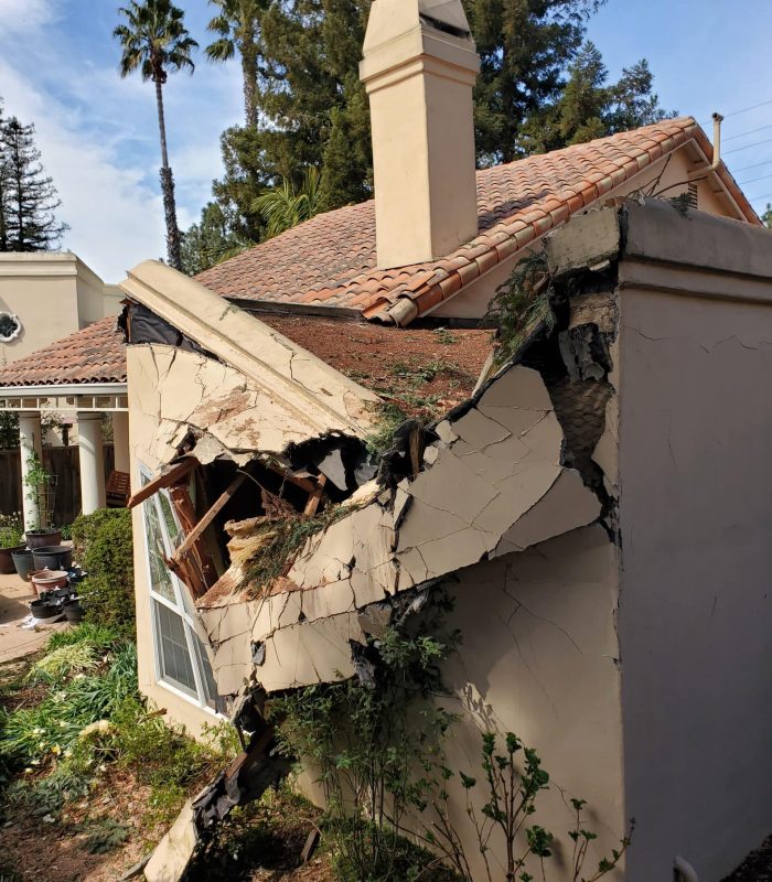 Integra-Builder-Inc-Website_Tree-Damage_Milligan.7